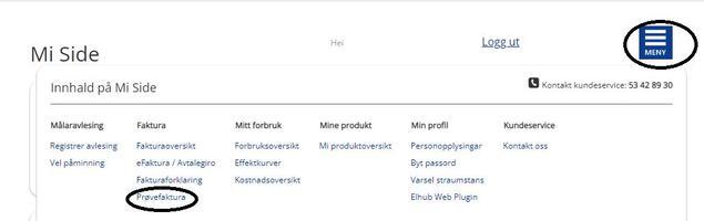 Prøvefaktura